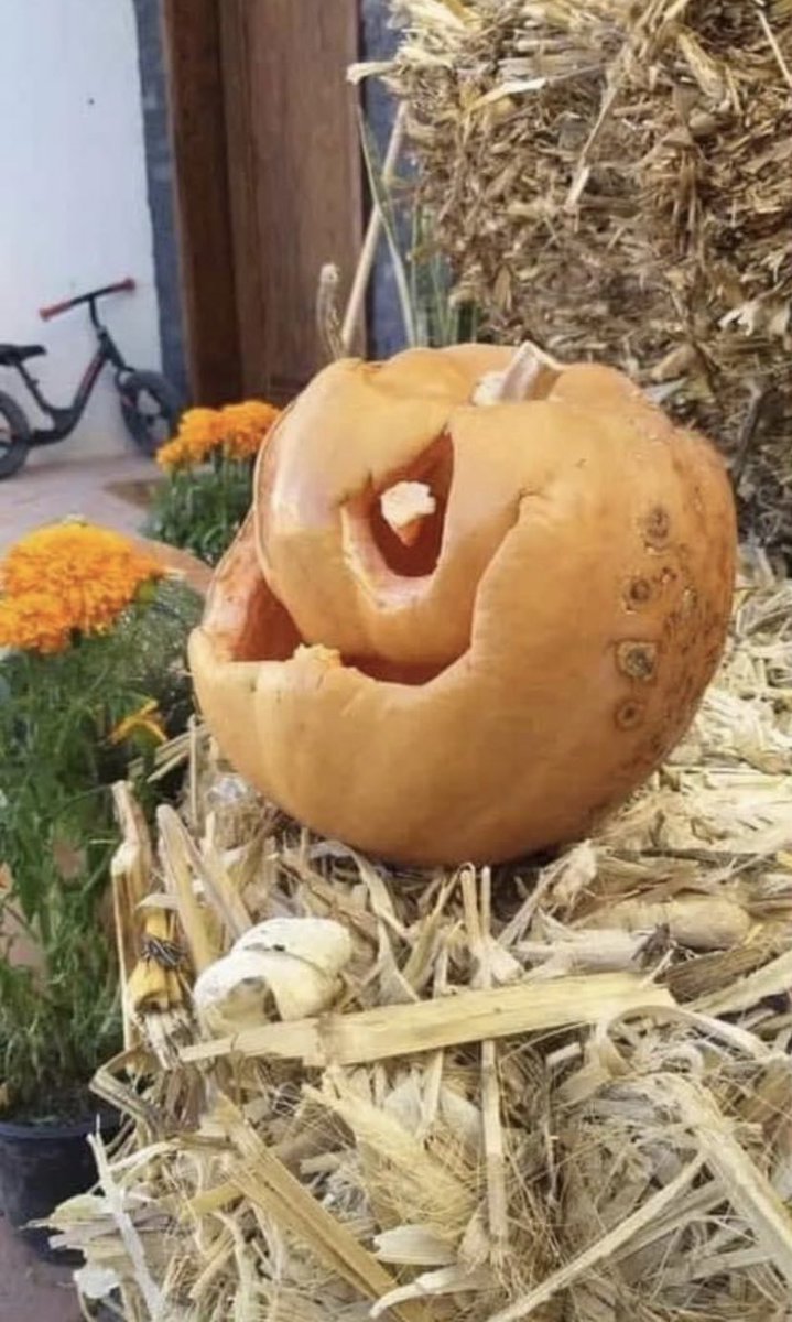 LuisValLe_A's tweet image. ¿Ñulce o ñuco?