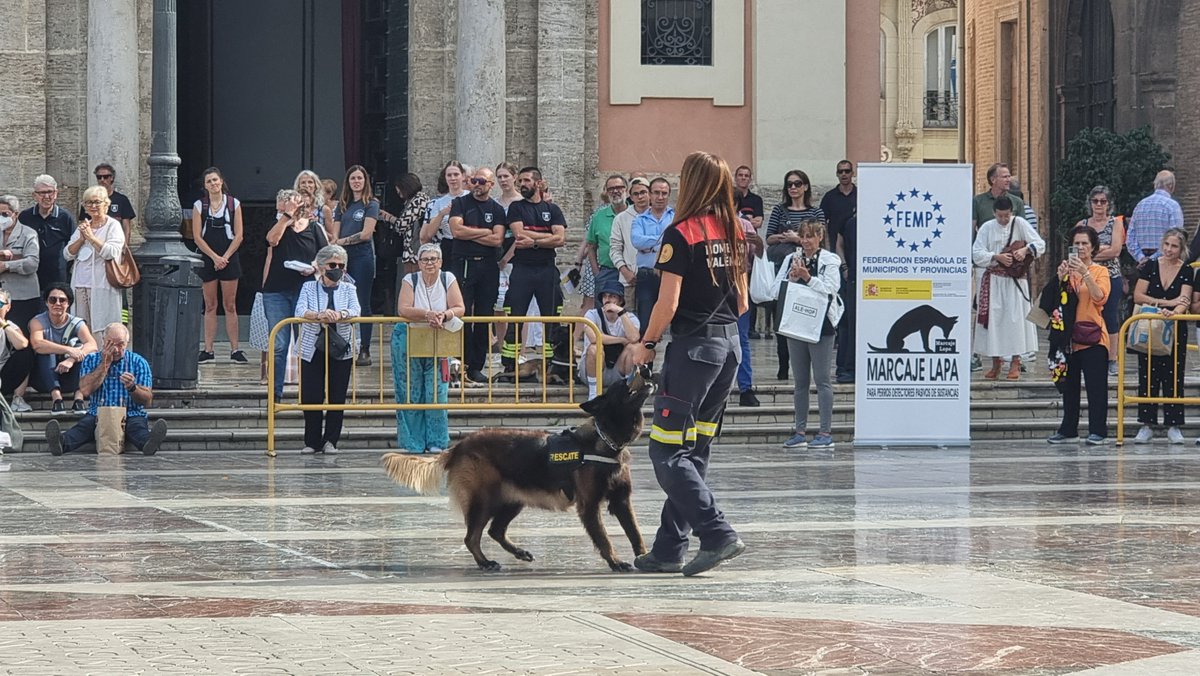 120 Unidades Caninas policiales y de rescate se citan en València para poner en común experiencias, técnicas y conocimientos, provenientes de cuerpos de emergencia de toda España.

<a href="/AjuntamentVLC/">Ajuntament València</a> <a href="/aaroncano_/">Aarón Cano</a> <a href="/gtellocompany/">Gloria Tello ;)</a> <a href="/policialocalvlc/">PoliciaLocalValència</a> <a href="/bomberosvlc/">Bombers Ajuntament València</a> <a href="/heroesde4patas/">Héroes de 4 Patas</a>