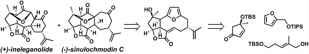 TotalSynthesis's tweet photo. #TotalSyntheses of (+)-Ineleganolide and (−)-Sinulochmodin C by Joseph P. Tuccinardi and John L. Wood @JohnWoodGroup at @BaylorCBC in @J_A_C_S https://t.co/RPCXaZrQgM https://t.co/HWF8uAtgO8