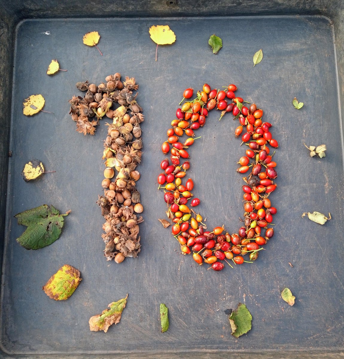 Little Assynt Tree Nursery was set up ten years ago as part of the <a href="/coigachassynt/">Coigach & Assynt Living Landscape</a> partnership to provide local provenance trees for woodland planting projects in the surrounding area. Over the past decade over 300,000 native trees have been grown.

scottishwildlifetrust.org.uk/2022/10/little…