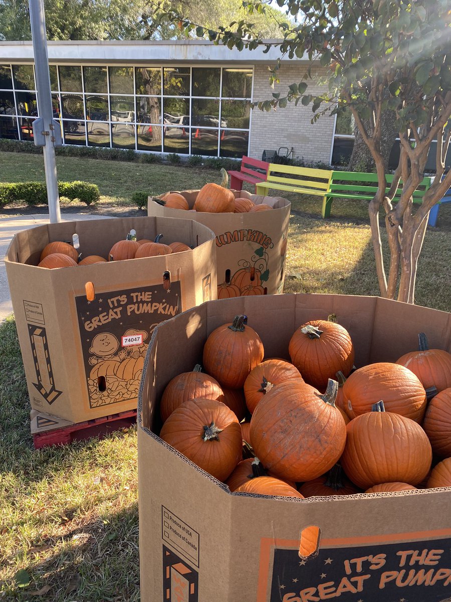 Simbree Jacobs tweet media