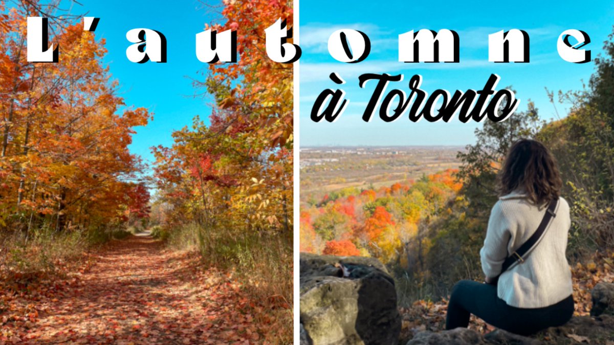 Nouvelle vidéo en ligne

Si vous voulez voir les belles couleurs de l'automne canadien c'est par ici 👇

youtu.be/WXDAQW8cDwg