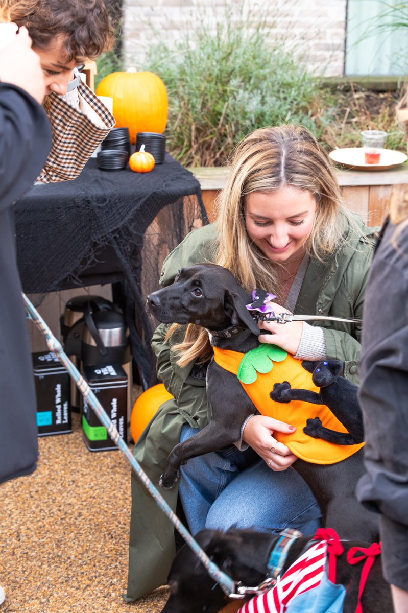 Happy #NationalPumpkinDay 🎃🐾 Couldn’t resist sharing a few more from our first #Halloween #PetParade 🦮🎉