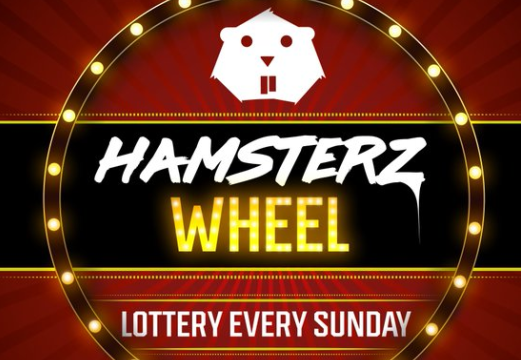hamsterzbc's tweet photo. Hello #avax fam ! 🐹

We just counted all the #nfts we have made you win since our start, and the number is awesome! 👀

-> 529 NFTs were sent to our holders! 🤩

The list is so big we can't write it all here! But one thing is sure...

We're going to continue this way!
Join us! https://t.co/XcVn1r632A