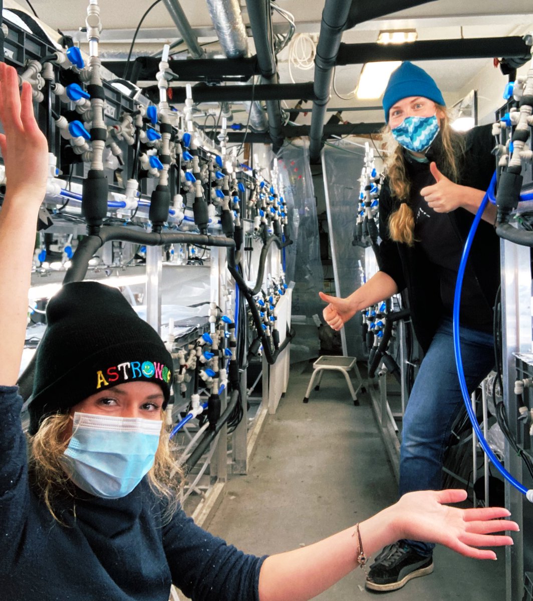 Nessa O'Connor tweet media