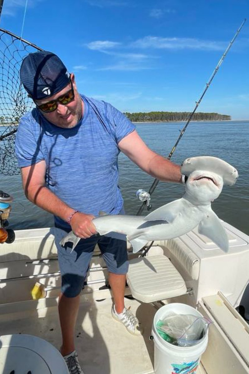 I don't always go fishing, but when I do, I like to catch bonnethead sharks :) #hiltonhead