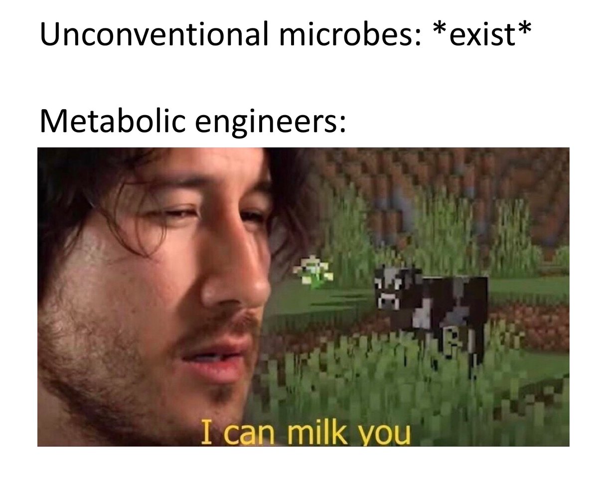 Natural products 🤑🤑🤑