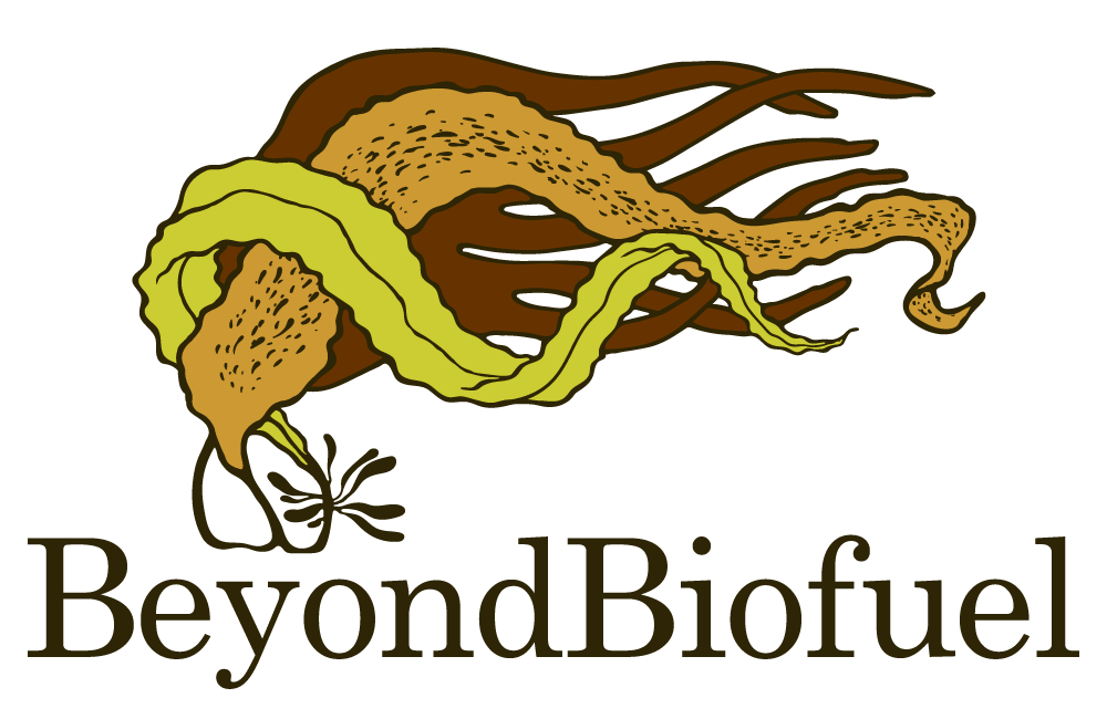 Nessa O'Connor tweet media