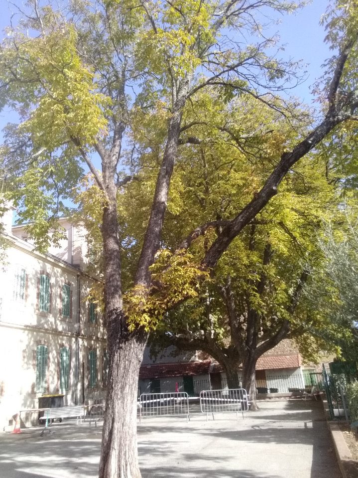 Dominique LAIN tweet media