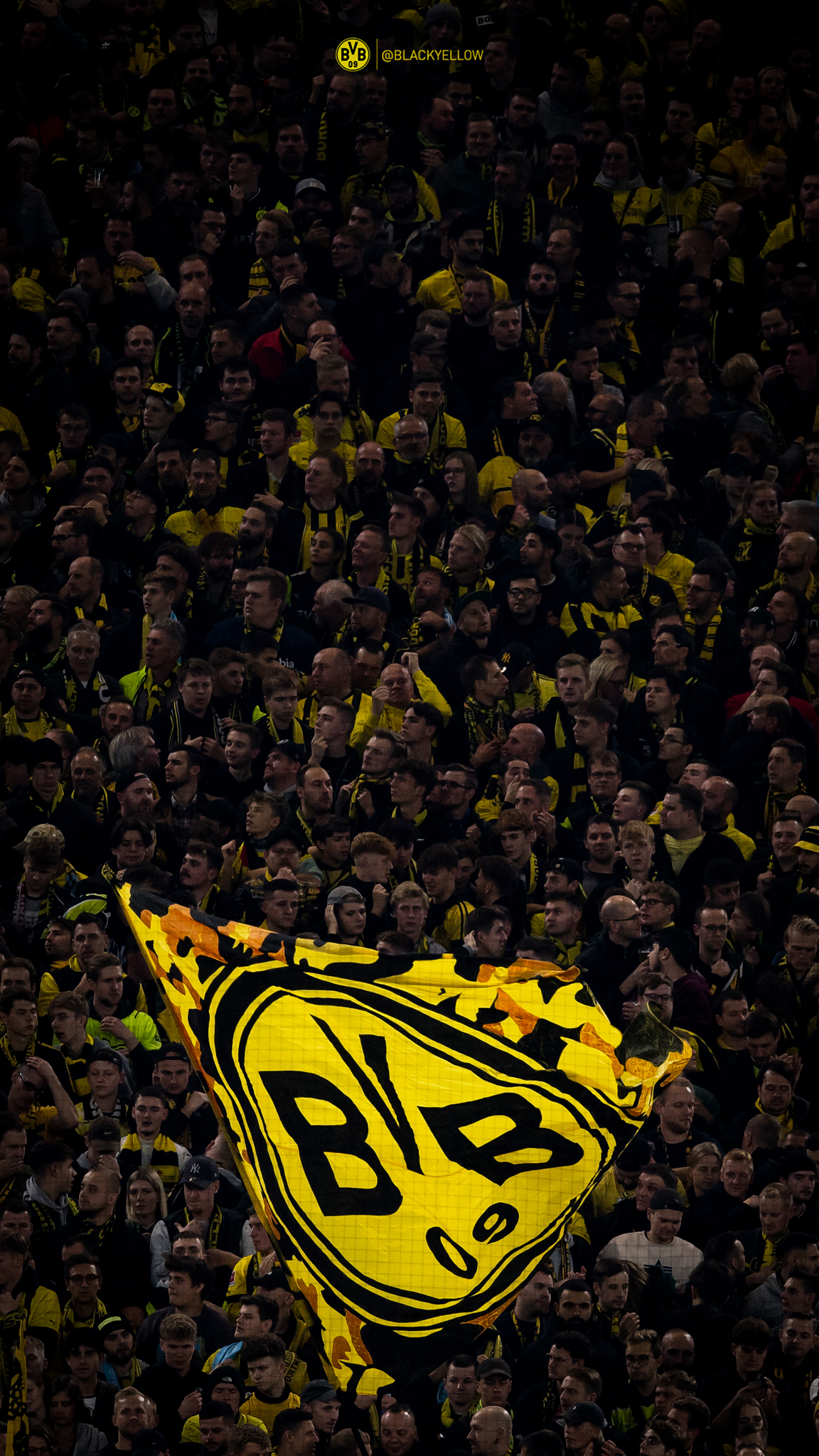 100+] Dortmund Wallpapers | Wallpapers.com