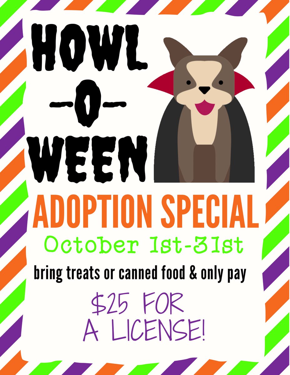 LucasCountyCanineCare (@lucascountydogs) on Twitter photo 