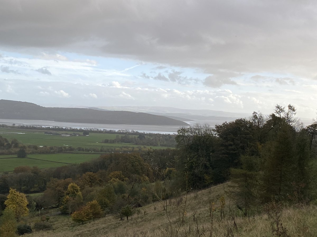 OC Norfolk & Suffolk tweet media