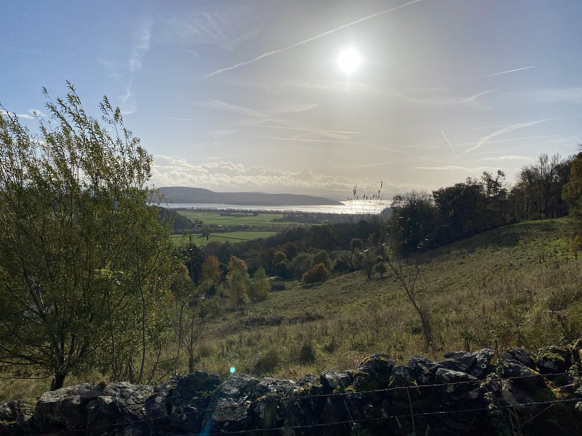 OC Norfolk & Suffolk tweet media