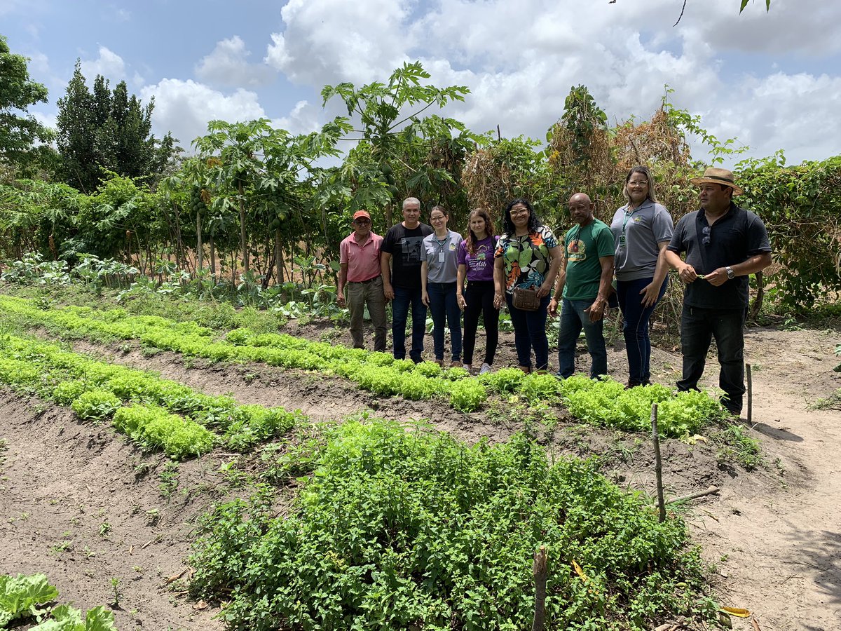 fabiolaewerton's tweet photo. Parar? Não temos esse direito! Fazemos porque acreditamos.  Visita à comunidade Canaã para fortalecer as ações de reconhecimento da produção orgânica dos Agricultores Familiares. @Aged_Maranhao @AgerpMA https://t.co/7kdjZf4lw2