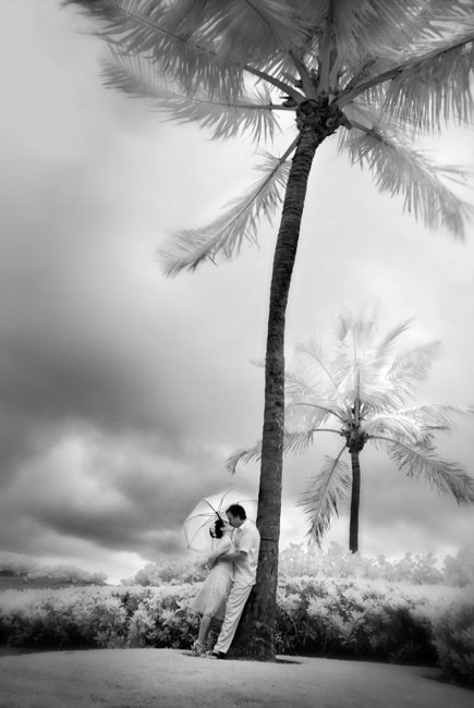 TropicalW's tweet photo. Never let the rain get in the way of your wedding photos.  Make the best of the weather and look how beautiful your photos can be.  Your wedding planners Sari and John on their 10th anniversary. https://t.co/u5kc7MqmYZ