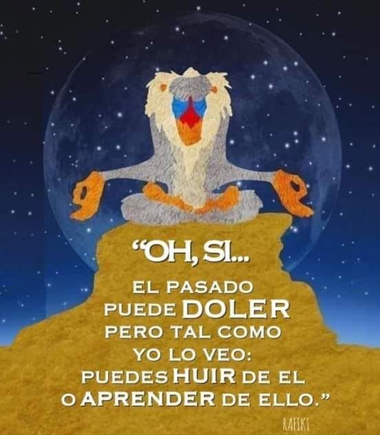 MagicMundi's tweet photo. Cuánta razón tiene Rafiki https://t.co/K9br7UMcZ7