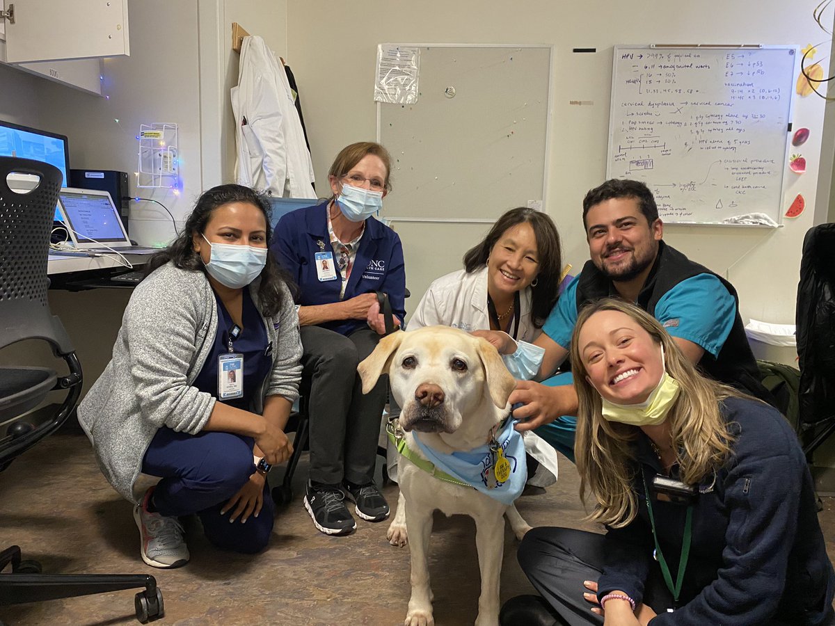 Stella the UNC therapy dog hanging out with our gyn onc team on 6 Womens @DrigoMunoz @TressaEllett @UNCObGynRes @UNCOBGYN