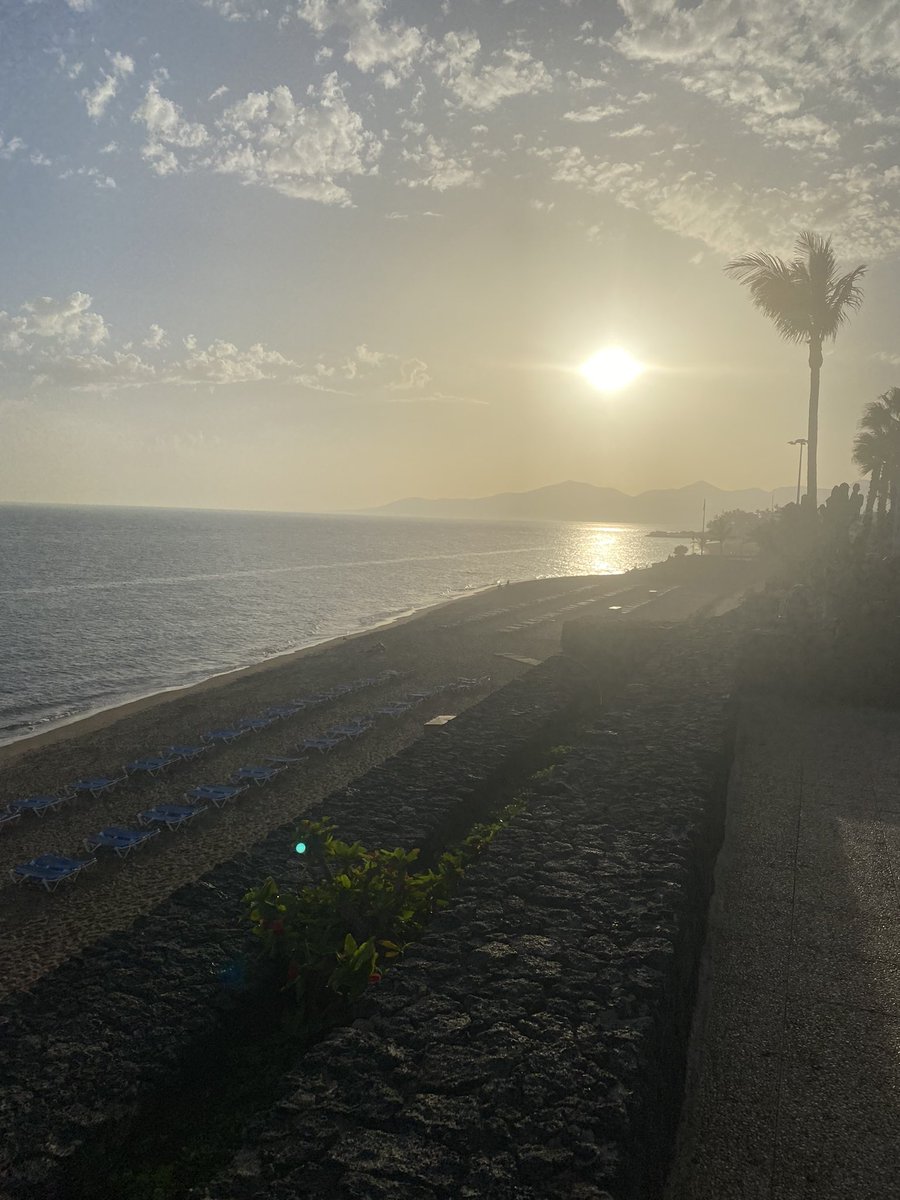 Timmyxoxoxo's tweet photo. 🌅 this please https://t.co/MFjNGtJ4zO