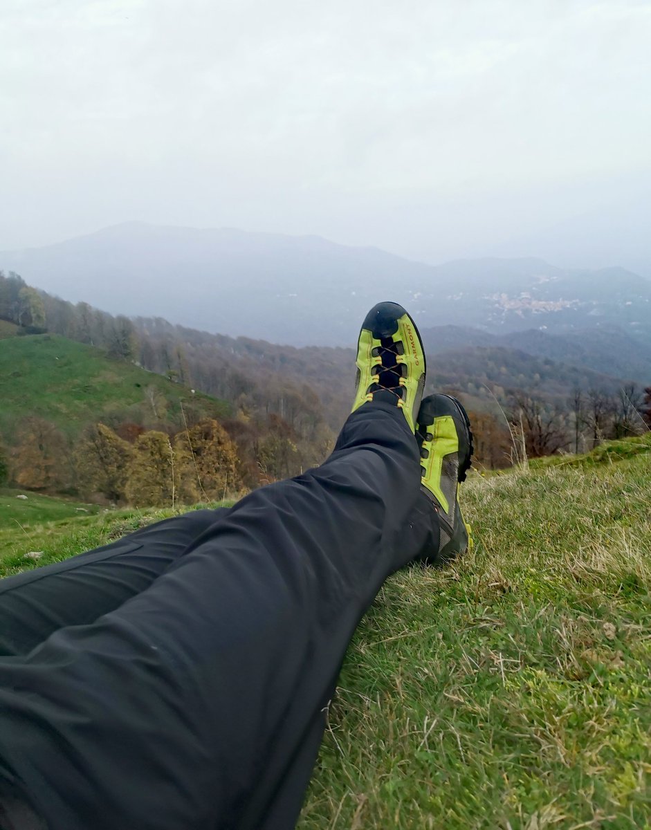 Filippo Menotti tweet media