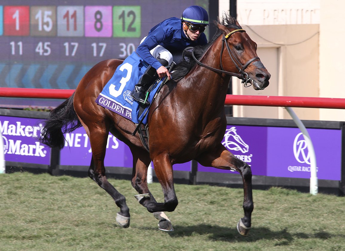 HorseRacingTote's tweet photo. Golden Pal will retire from racing after the 2022 #BreedersCup and stand stud at Ashford Stud. Golden Pal is currently +200 in the #BCTurfSprint future book according to https://t.co/xQ32zzX1Cy
#horses #horsenews #freebettingpicks https://t.co/hpBETrm0Hg