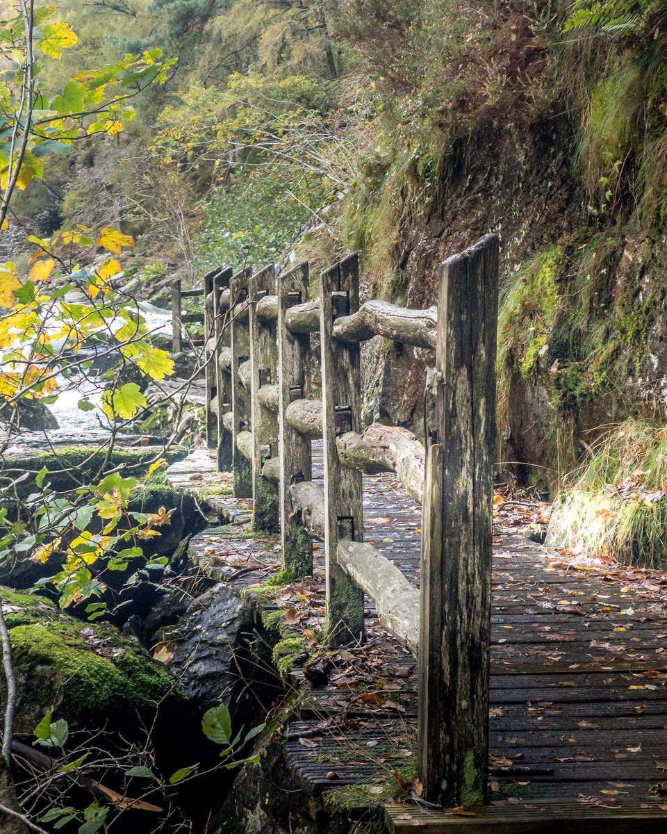 ✨Camden VPC - Recruiting NOW ✨⚡️ tweet media