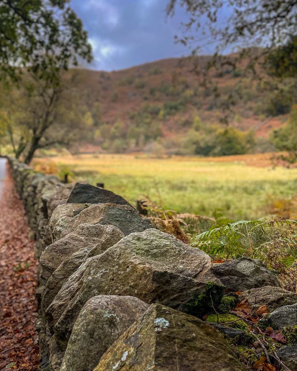 ✨Camden VPC - Recruiting NOW ✨⚡️ tweet media