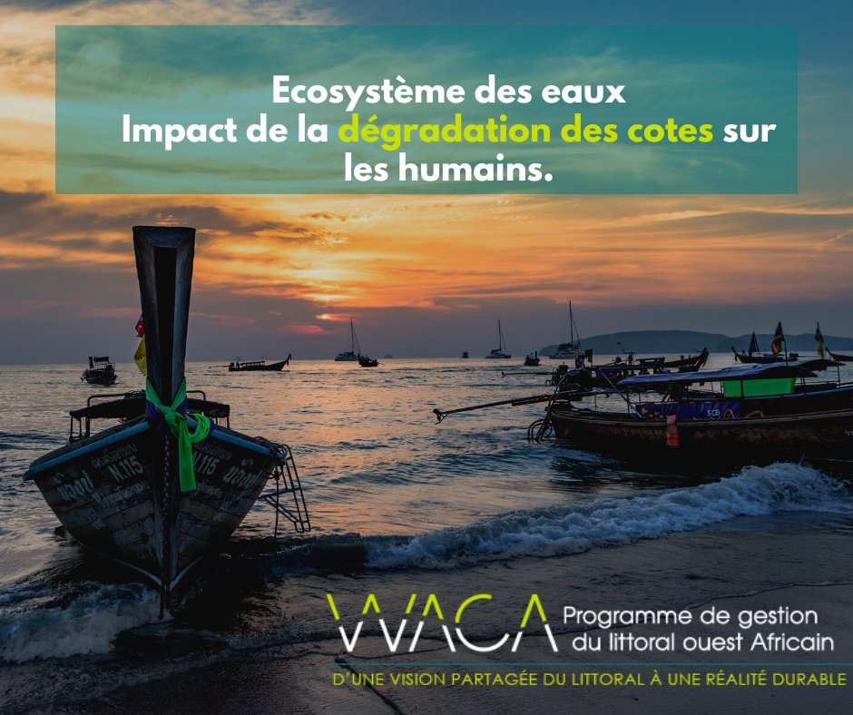 WacaSenegal's tweet photo. ni s'intégrer aux marchés. Cela les rend donc encore plus vulnérables.

#wacasenegal #erosion #littoral #protection #environnement #senegal #erosioncotiere #cote #kebetu #TL221 @UICN_Senegal @WorldBankAfrica @abdourami @DivanCitoyen https://t.co/OZE23sBNJw
