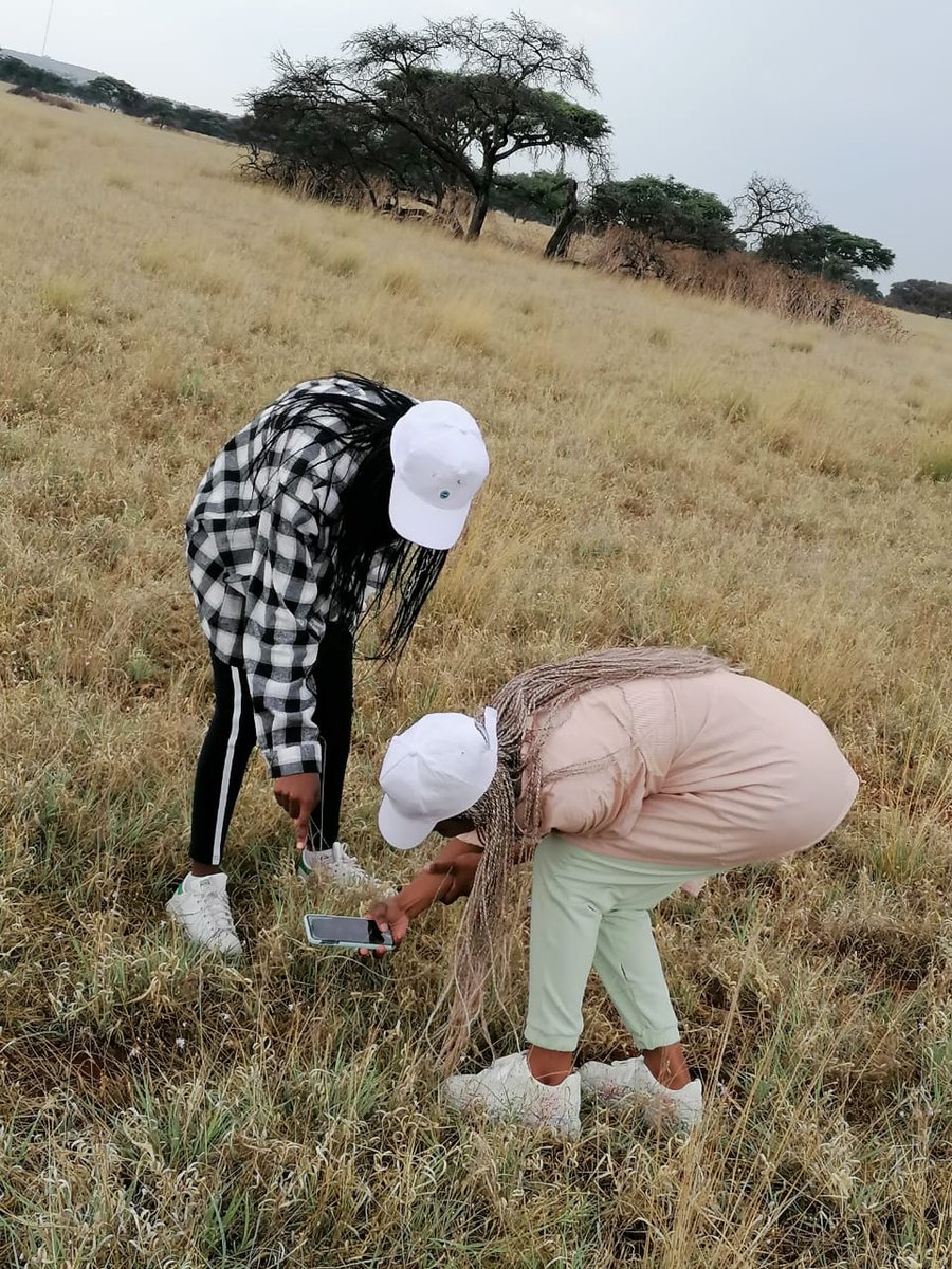 DmMukhari's tweet photo. Thank you @SAEON_GSN for an incredible week filled with amazing presentations and workshops in the beautiful #Kimberly, Made really great professional and personal connections😅 #gsnindibano2022 #sciencenetworking @Saeonews @SethuMamzima https://t.co/IlnneHDZEm