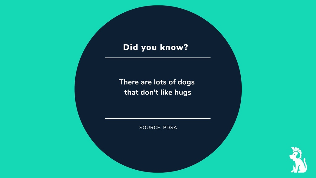 DoggyWarriors's tweet image. Signs that your dog doesn't enjoy being cuddled include turning their head away and flattening their ears against its head. They might also lick their lips and nervously look around. Make sure to keep an eye on your dog's body language. 🐶

#calmdogs #ilovedogs #doggywarriors