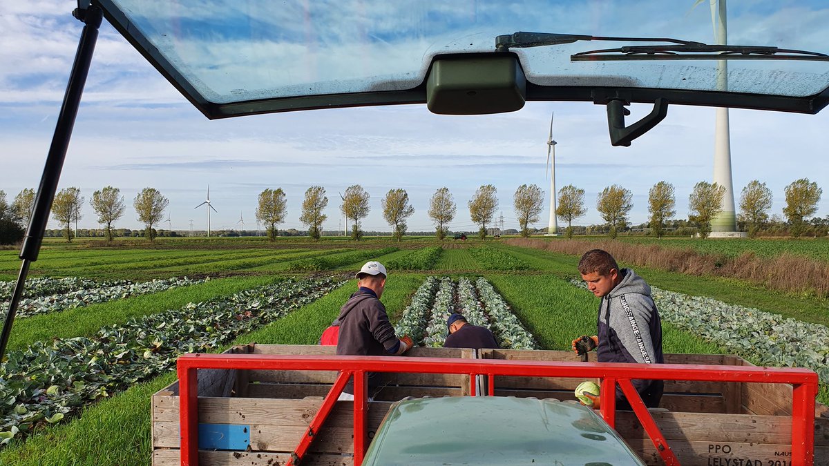Alle mensen uit de stad, die moe worden van hele dagen gezeur aan de kop heb ik één tip! 🤙

Bel een boer, vraag of je een paar dagen kan komen helpen en je komt een stuk frisser en positiever terug!

Ik heb nog plek voor heel wat mensen die een dag lekker willen werken! 💪💪