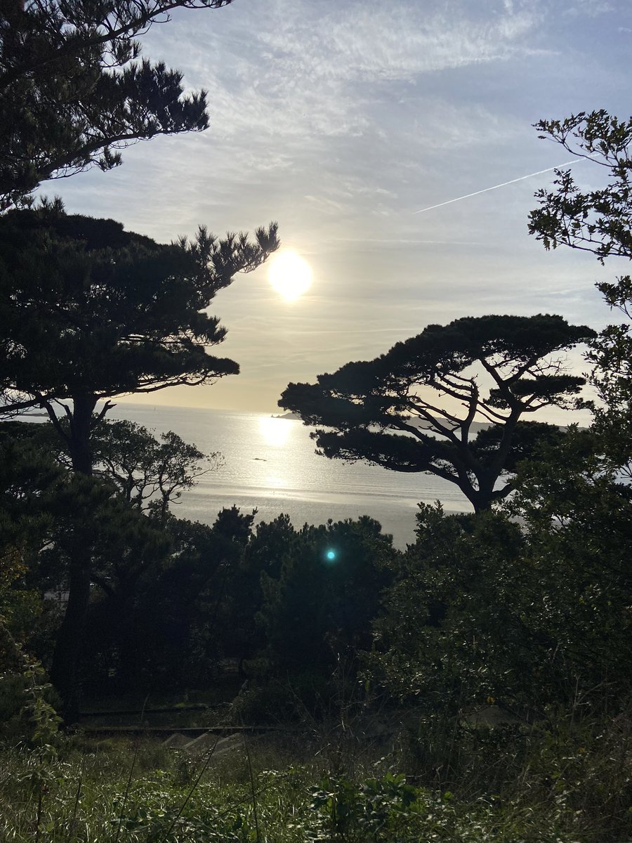 Rubys_recipes_ tweet media