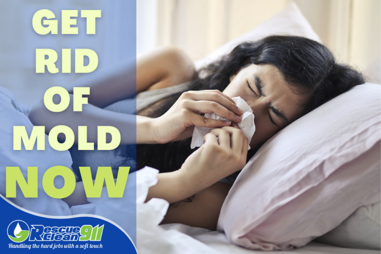 RescueClean911's tweet photo. Many mold problems happen out of sight.

If you have any reason to suspect that there is a mold issue at your home, mold testing from Rescue Clean 911 can help you keep your environment safe.

https://t.co/F7DMD4fSYZ #allergies #moldremoval #soflo https://t.co/QfnuQalfMM