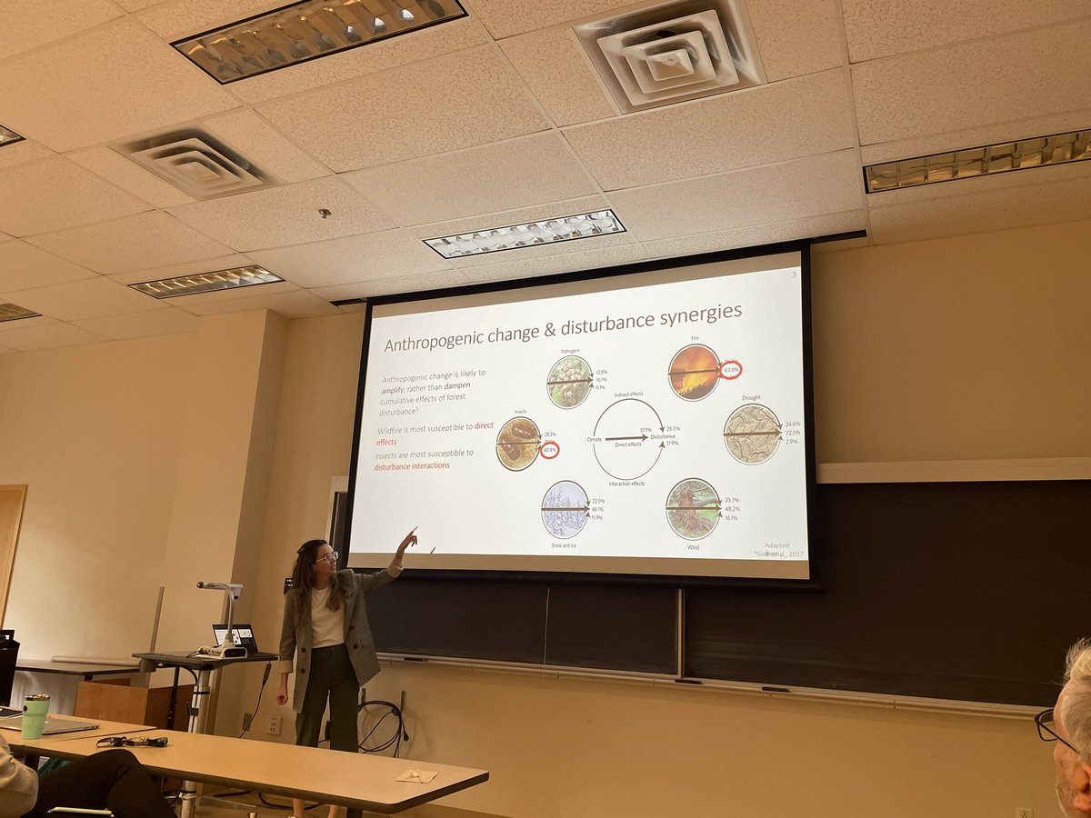 <a href="/KateKitchens/">Kate Kitchens</a> talking about disturbance synergies of bark beetles and wildfire #foresthealth #wildfire  #anthropocene #climatechange <a href="/ubc_FIDEL/">Forest Insect Disturbance Ecology Lab</a> @ubcforestry <a href="/JEDIinForestry/">UBC Forestry JEDI (Justice + EDI) Team</a>