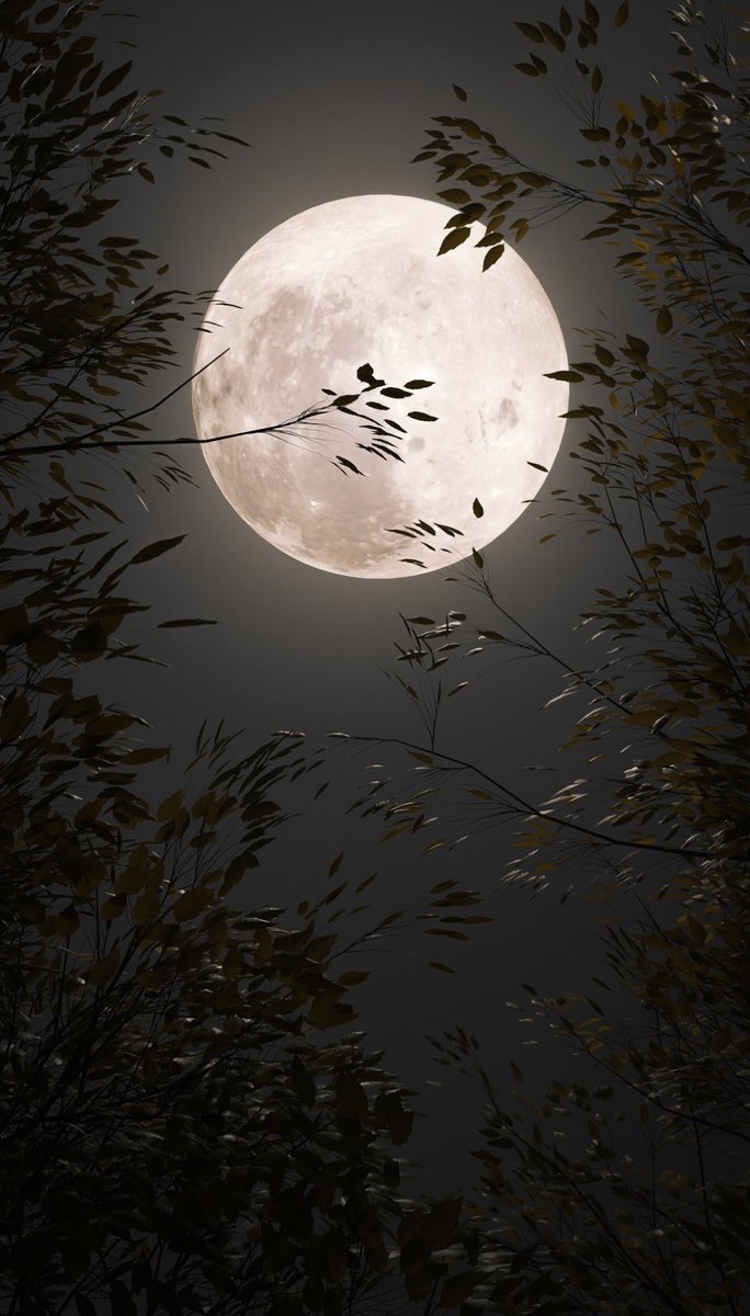 Moon lover.