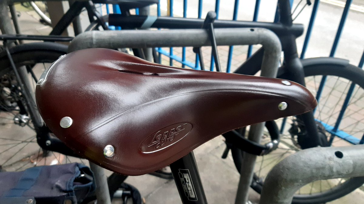 BahaNick16's tweet image. I am a tad #Goldilocks with my saddles, this one's a bit hard, bit broken, gives me saddle sores, hasn't broken in evenly, current perch from 🇳🇱 #nottoohot #nottoocold 🙄🤣