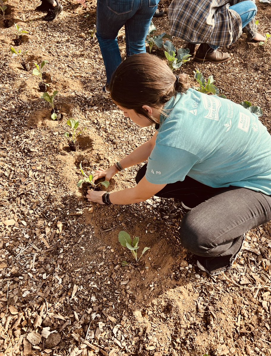 BarrowWBL's tweet photo. Youth Leadership Barrow learning about community gardens and Leadership stereotypes today! #serventleadership @Barrow_CTAE @BCSchools1 https://t.co/I11TCT2Pw0