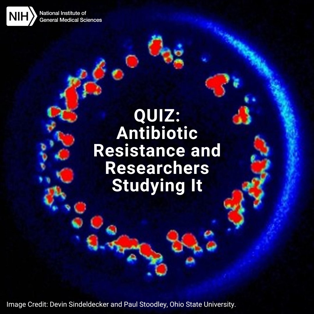 Test your knowledge of bacterial infections with examples from scientists who explore new ways to fight antibiotic resistance in our latest #BiomedicalBeat blog quiz. bit.ly/3zeGFTa
