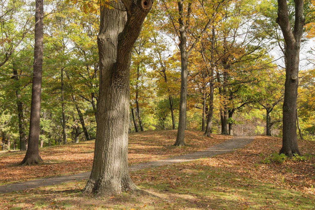 EmNecklaceBos's tweet photo. We are grateful for Franklin Park’s inclusion in @TCLFdotORG's annual Landslide report, showcasing threatened and at-risk landscapes throughout North America!

Read the full Franklin Park profile here: https://t.co/DV6DBTN5Ig

[photo by Erik Gehring] https://t.co/7V8VM35ZAk