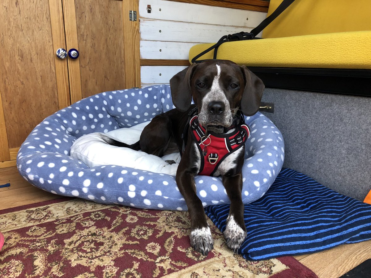 Miss Slater tweet media