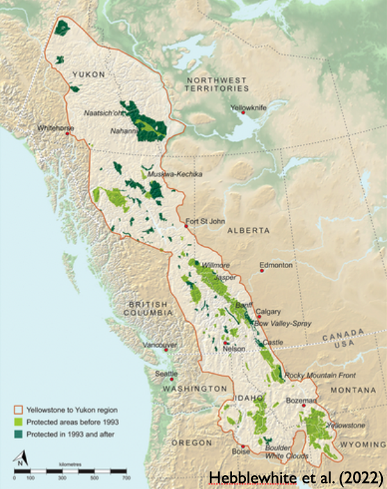 Protecting #wildlife #migrations is a joint effort. Our #Room2Roam project is connecting biologists from Yellowstone to the Yukon and building shared #animaltracking analysis tools to improve wildlife management and inform policy. Learn more: ceg.osu.edu/news/2022/10/r…