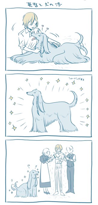 犬の渉とブラッシング 