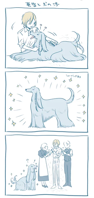 犬の渉とブラッシング 
