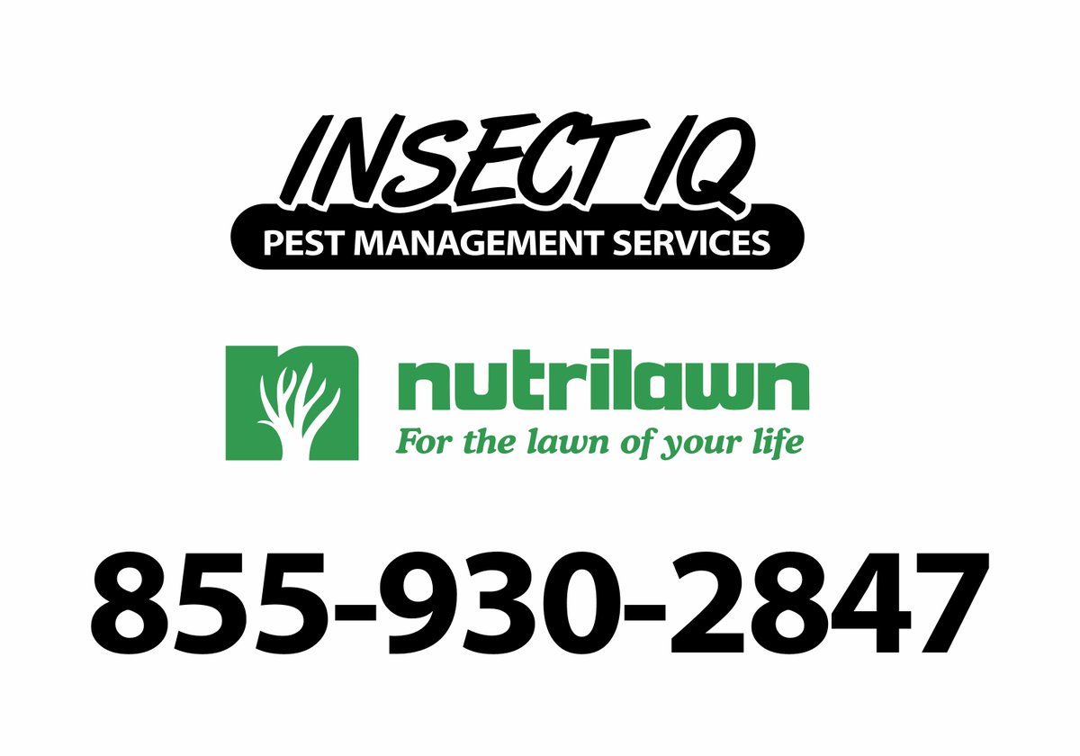 IQBeeRemoval's tweet photo. HAT’S BUGGING YOU?
Are sugar ants driving you crazy? We are here to help!
Insect IQ  Solving Your Ant Problems, Guaranteed!
BLOG: https://t.co/8e9d2IzuEp

#InsectIQ  #ants #antproblem #antcontrol, #sugarants, #pissants, #infestation, #antkiller,  #getridofants https://t.co/1pAw1KByEe