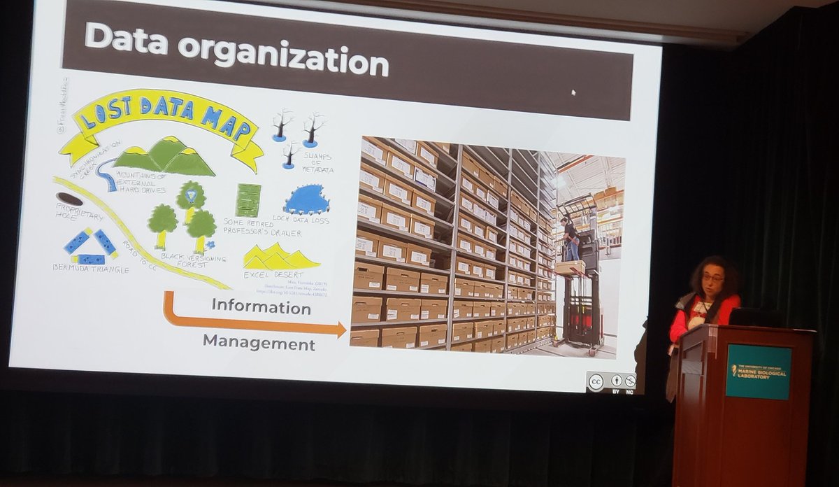 jennycschafer's tweet photo. Important and lively discussion of Quality Control and Data Management from the @BioimagingNA Working Group. Thanks, Caterina @StrambioLab for leading us through the"lost data map". #BINA2022CC @VUCellImaging https://t.co/rYjSkHk2Tz