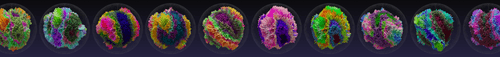 WhaleFOMO's tweet photo. 🔥 ASM Brains

30m 4 NFTs Sold to 1 Whale (Avg 0.63438 ETH)
https://t.co/dVe8LLyFoj 

Listing Rate: 0.69% 
BlueChip Index: 57.28% 

Website: https://t.co/NQ9EN3l5rM 
Opensea: https://t.co/V7RG3JZXyg
#ASMBrains #NFT #NFTGiveaway https://t.co/5cFq11Clz9