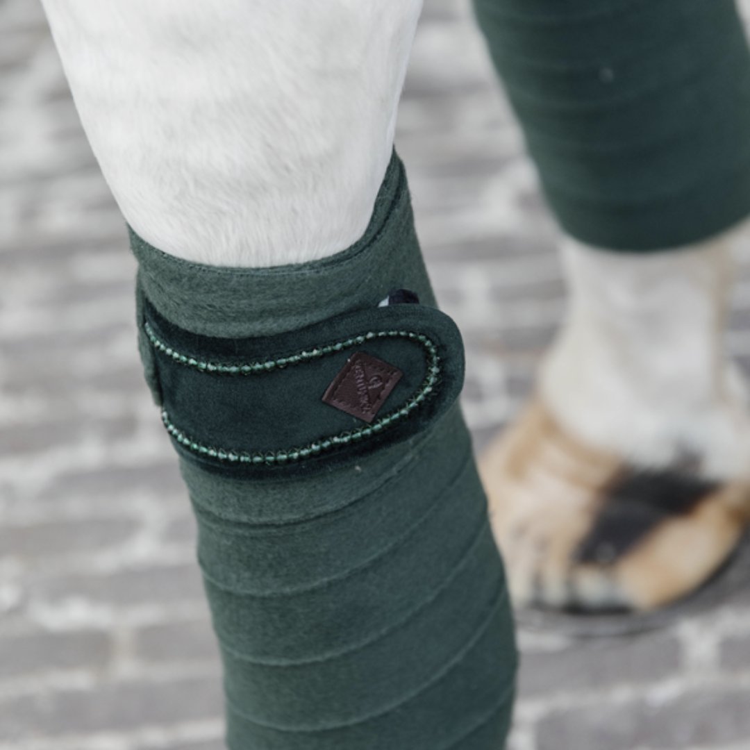 equikro_'s tweet photo. Living for pine green this season 🌲 💚

How lush is this velvet pearls set from @kentucky_horsewear 🤩 Like if you love a matchy matchy look!

Other colours available - shop now on our website https://t.co/aX0QtyuFXM https://t.co/1oqN9biYD6
