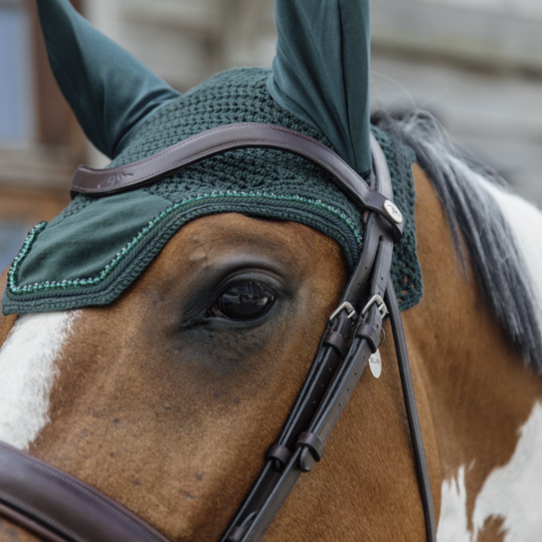 equikro_'s tweet photo. Living for pine green this season 🌲 💚

How lush is this velvet pearls set from @kentucky_horsewear 🤩 Like if you love a matchy matchy look!

Other colours available - shop now on our website https://t.co/aX0QtyuFXM https://t.co/1oqN9biYD6