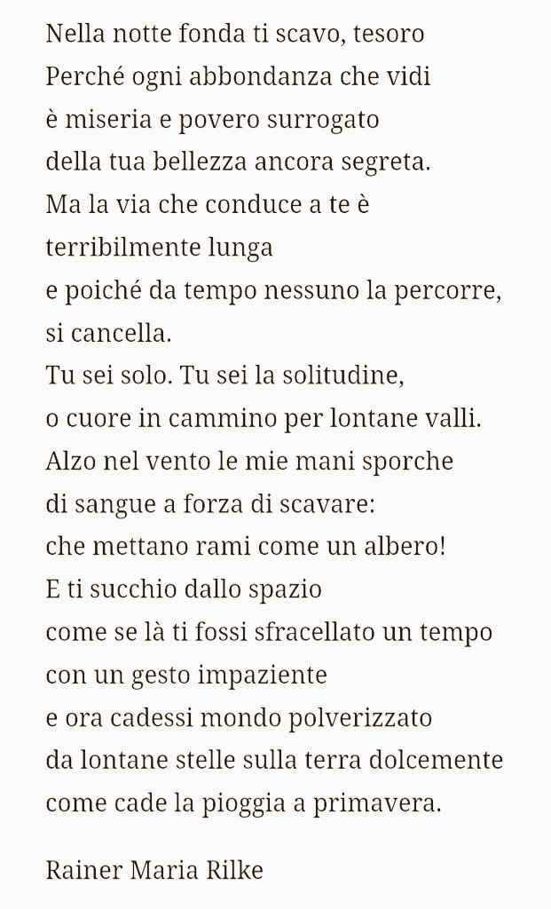 AlessandraCicc6's tweet photo. Nella notte fonda ti scavo, tesoro
Ma la via che conduce a te è terribilmente lunga
Tu sei solo. Tu sei la solitudine,
o cuore in cammino per lontane valli.
✒ Rilke
#ParoleDAmore
#CasaLettori
🎨 Oskar Kokoschka
La sposa del vento, 1914 https://t.co/nuD1ITsRsZ