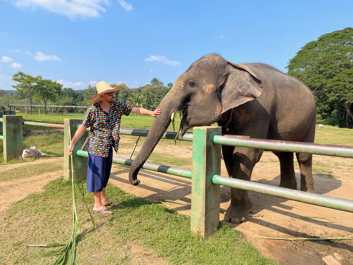 KelleySchool's tweet photo. The Kelley Direct #OnlineMBA immersion trip continues in Thailand, where students have visited companies to learn about sustainability and the Kanta Elephant Sanctuary to learn how they care for elephants previously used for entertainment or logging. #KDGlobal #KelleyDirect https://t.co/AveMbcJL0A