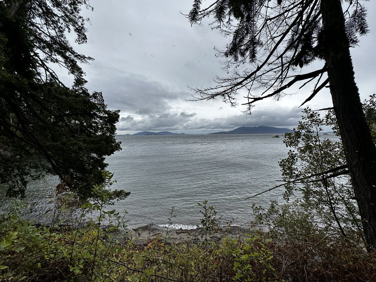 Dr. Tiffany Messer tweet media